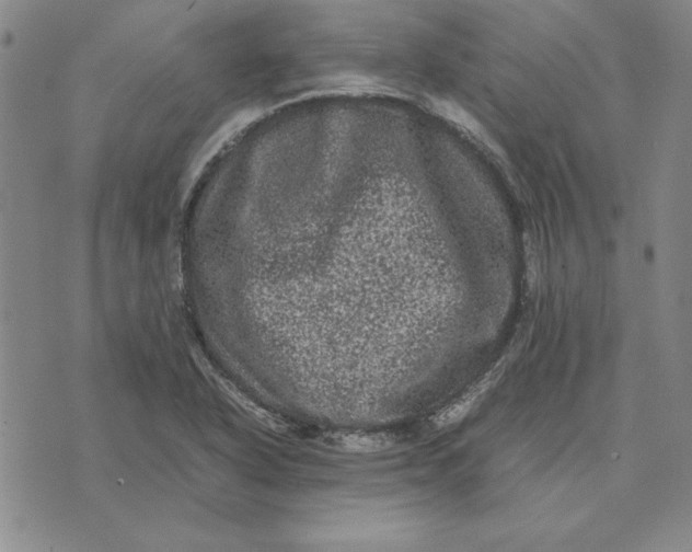 X0000074031318200609111704