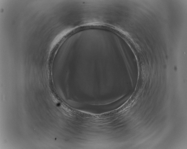 X0000074031319200609111704