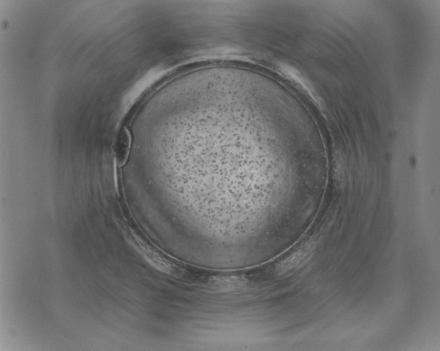 X0000074031320200609111704