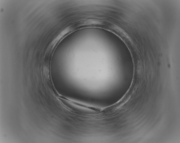 X0000074031321200609111704