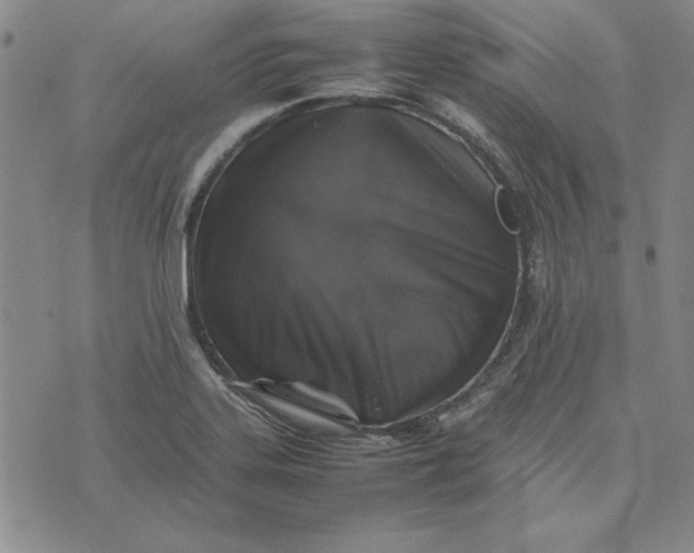 X0000074031323200609111704