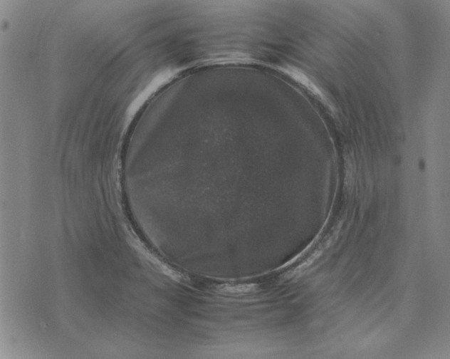 X0000074031325200609111704