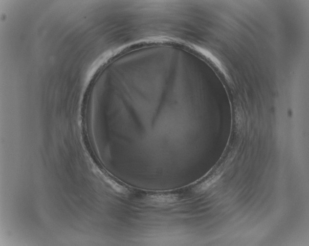 X0000074031327200609111704