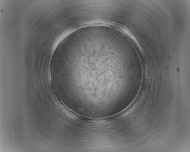 X0000074031328200609111704