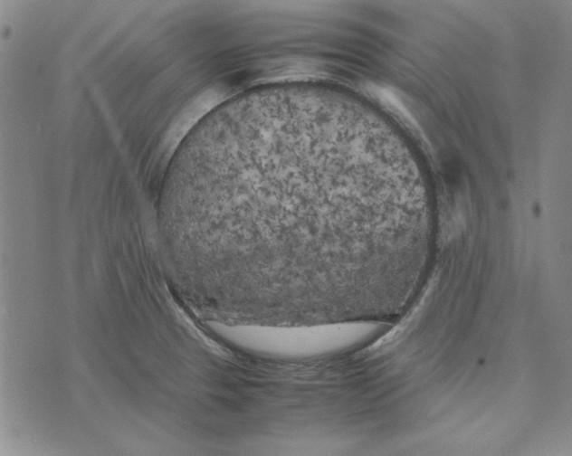 X0000074031329200609111704