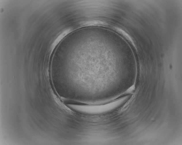 X0000074031330200609111704