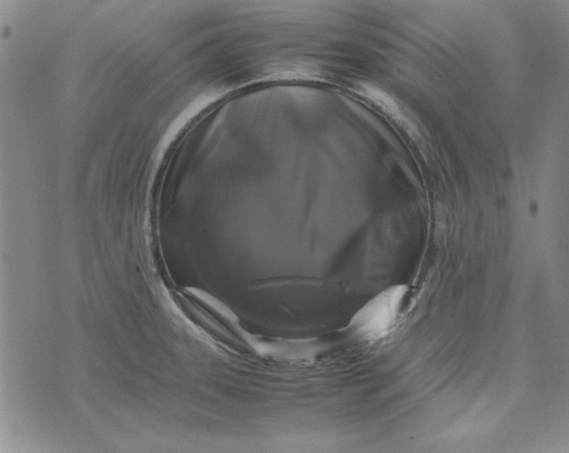 X0000074031331200609111704