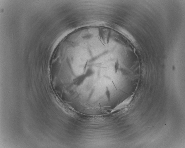 X0000074031332200609111704