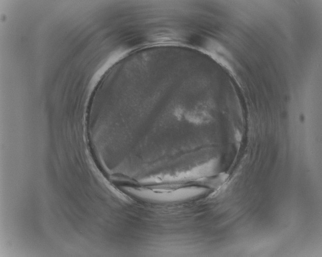 X0000074031333200609111704