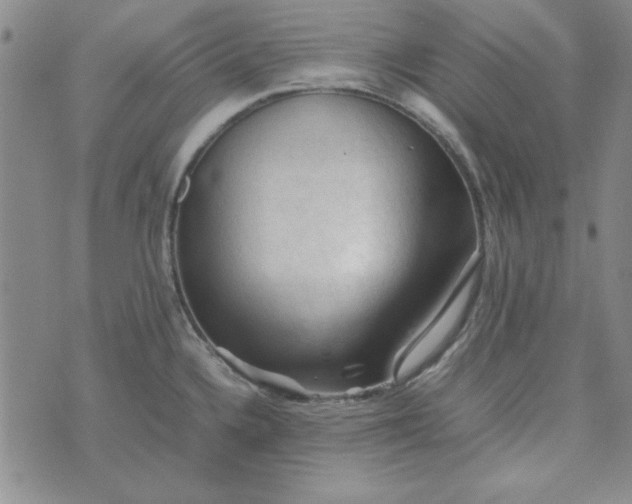 X0000074031336200609111704