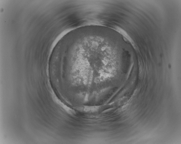 X0000074031339200609111704