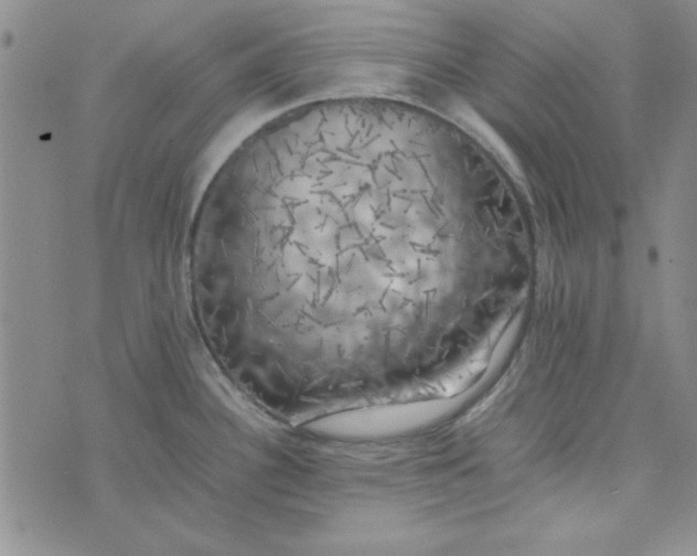 X0000074031340200609111704