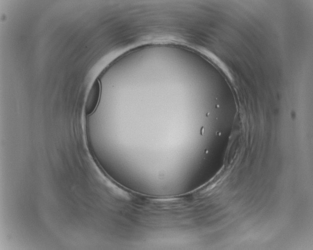 X0000074031343200609111704