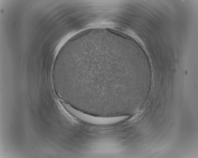 X0000074031344200609111704