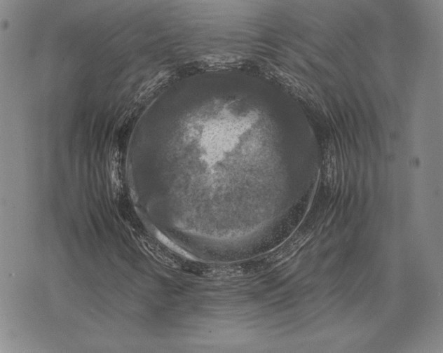 X0000074031346200609111703