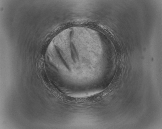 X0000074031349200609111703