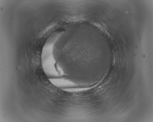 X0000074031350200609111703