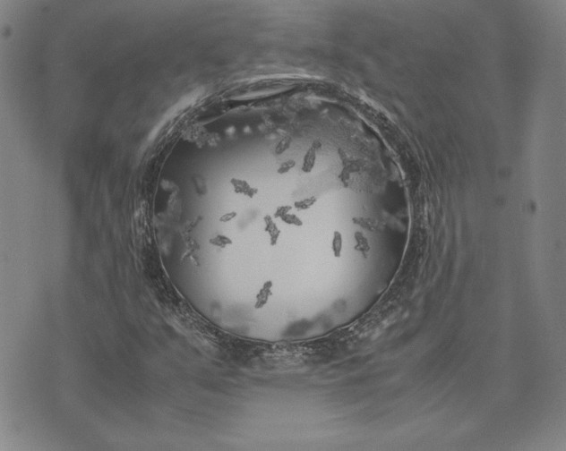 X0000074031351200609111703