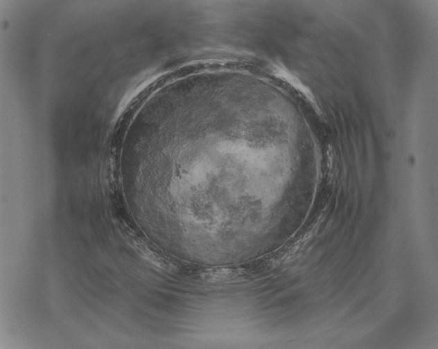 X0000074031352200609111703