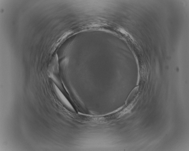 X0000074031353200609111703