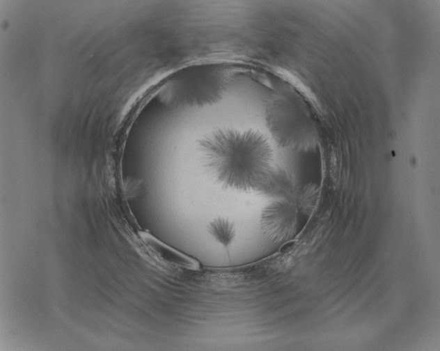 X0000074031356200609111703