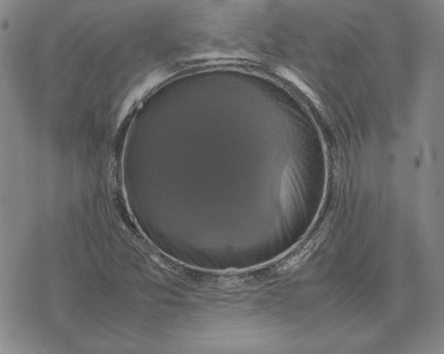 X0000074031357200609111703