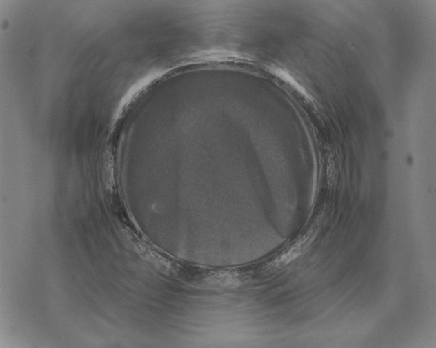 X0000074031358200609111703