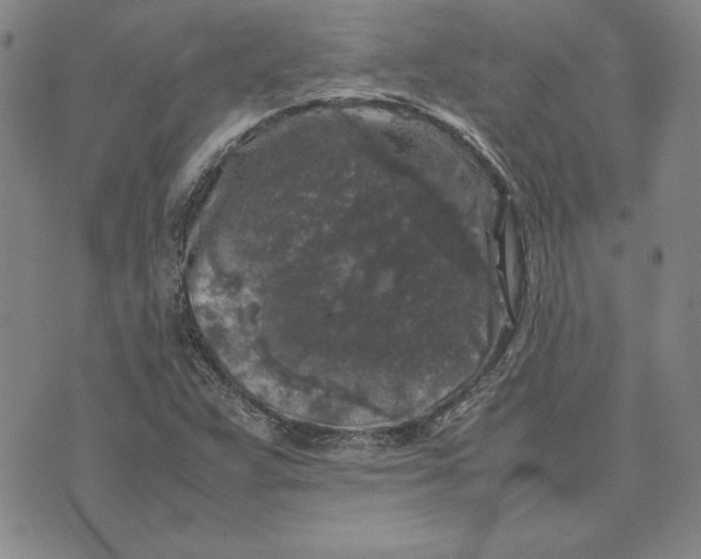 X0000074031359200609111703