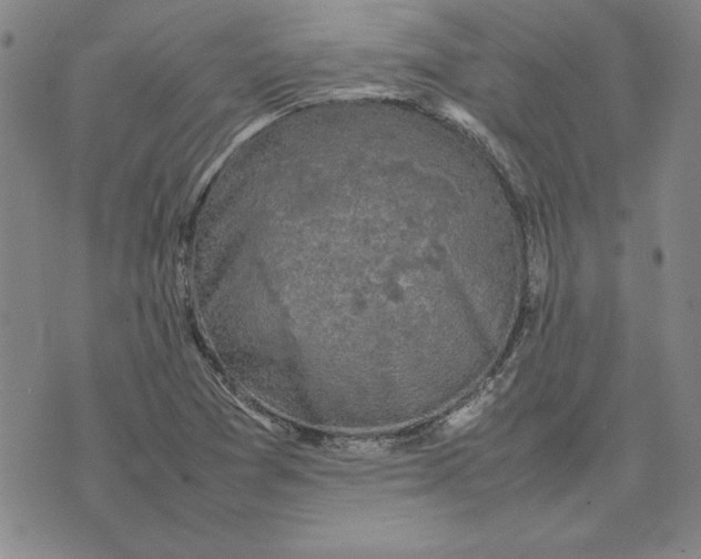 X0000074031361200609111703