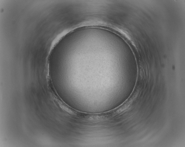 X0000074031366200609111703