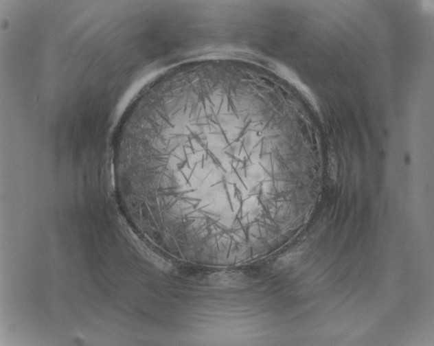 X0000074031368200609111703