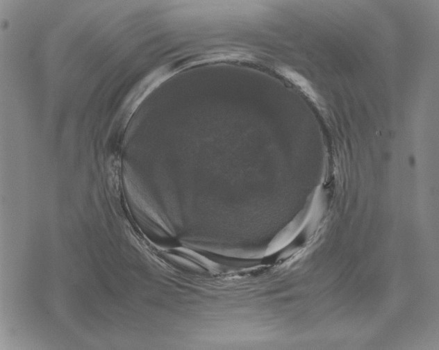 X0000074031369200609111703