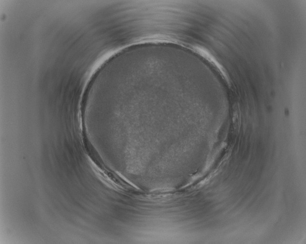 X0000074031372200609111703