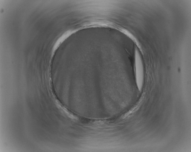 X0000074031373200609111703