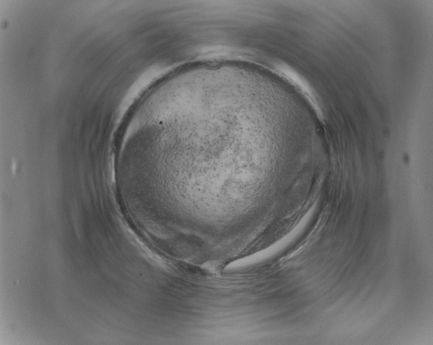 X0000074031376200609111703