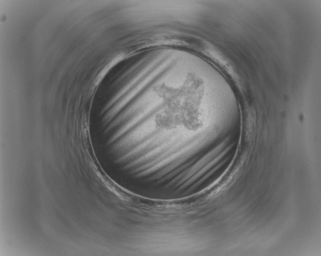 X0000074031377200609111703