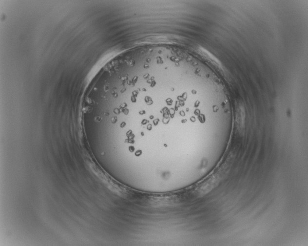 X0000074031378200609111703