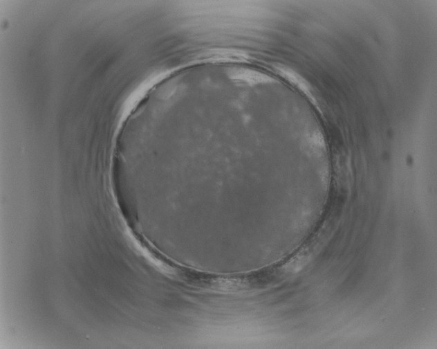 X0000074031379200609111703