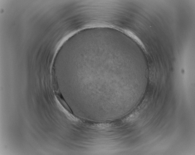 X0000074031380200609111703