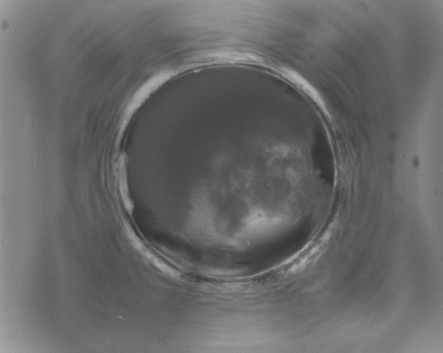 X0000074031381200609111703