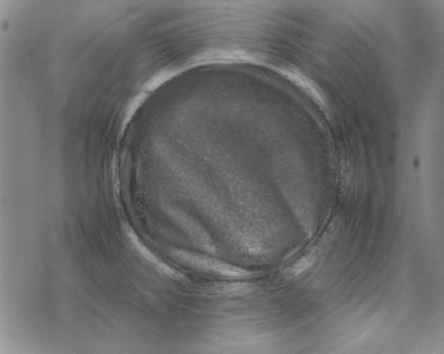 X0000074031382200609111703