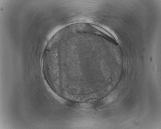 X0000074031383200609111703