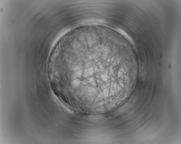 X0000074031384200609111703