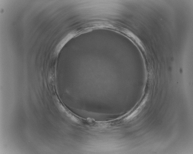 X0000074031385200609111703