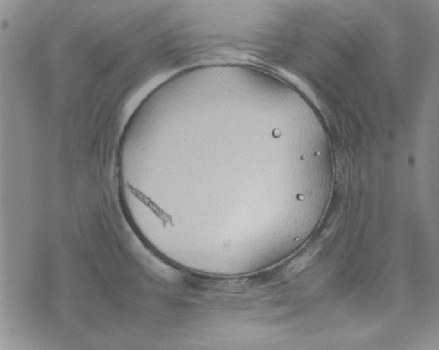 X0000074031387200609111703