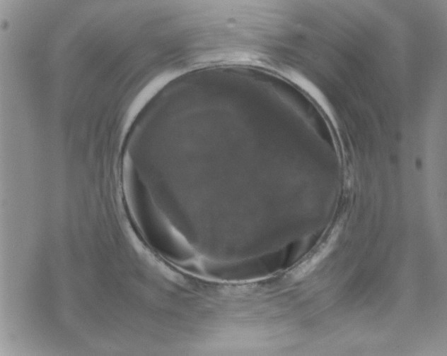 X0000074031389200609111703