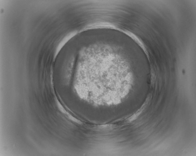 X0000074031390200609111703