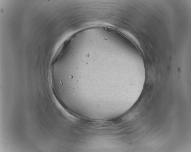 X0000074031391200609111703