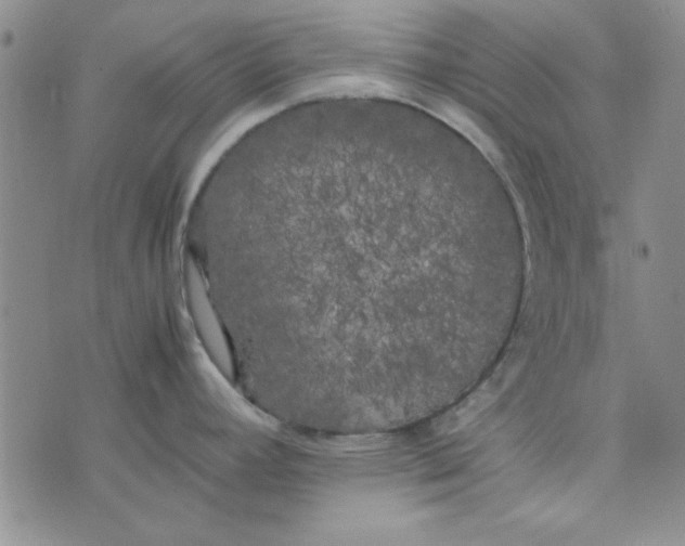 X0000074031392200609111703