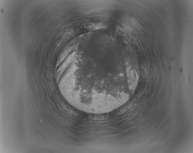 X0000074031393200609111702